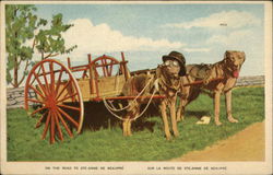 Dog Cart - On the Road to Ste-Anne De Beaupre Quebec Canada Postcard Postcard Postcard