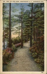 Trail on Long Point, Adirondack Mts. Postcard