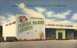 Florida Marine Museum Postcard