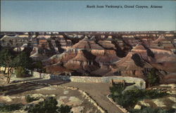 North from Verkamp's, Gran Canyon, Arizona Postcard