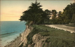 Channel Drive, Montecito Santa Barbara, CA Postcard Postcard Postcard