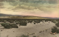 View of The Desert Palm Springs, CA Postcard Postcard Postcard