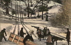 Big Pines Recreation Camp - Toboggan Run Postcard