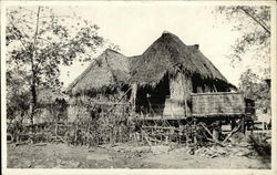 House with Straw Roof Postcard Postcard Postcard