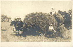 Harvesting the Hay Farming Postcard Postcard Postcard