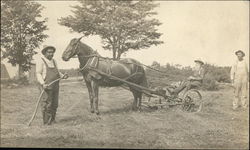 Farmers with a Horse Drawn Mower Farming Postcard Postcard Postcard