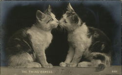 The Twins' Caress Postcard