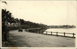 Car Driving Down a Road lined with Palm Trees Cars Postcard Postcard Postcard