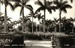 Boca Raton Club Near Delray Beach Postcard