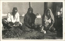 Destemming the Buds Zanzibar Africa Postcard Postcard Postcard