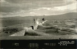 Lake Chapala View Postcard