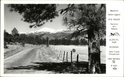 Snow-Capped Old Baldy Mountain Postcard