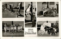 Gruss Aus Der Dressur-Schule Hamburg, Germany Postcard Postcard Postcard