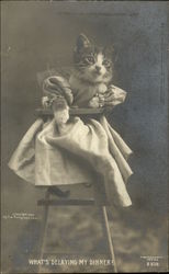 Kitten in Dress Sitting in High Chair Postcard