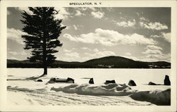 Snowy Landscape Scene Speculator, NY Postcard Postcard Postcard