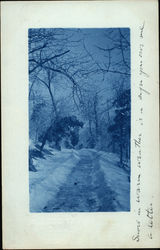 Snow Shoveled Pathway Lined with Trees Postcard