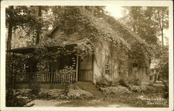 Home Covered in Ivy Postcard