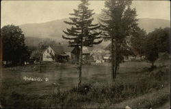 View of Town Healdville, VT Postcard Postcard Postcard