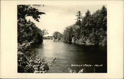 River, Riverbanks and Bridge in Background Postcard