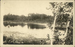 Lily Pond Rockport, ME Postcard Postcard Postcard