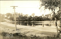 Shore Scene - Pleasant Lake Casco, ME Postcard Postcard Postcard