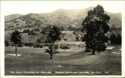 Golf Course at Avalon Postcard