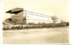 Hollywood Park Race Track Postcard