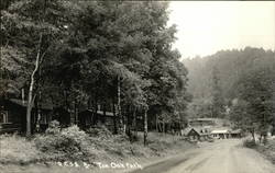 Tan Oak Park Laytonville, CA Postcard Postcard Postcard