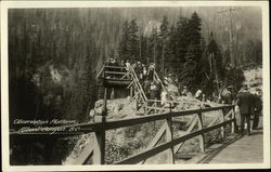 Observation Platform Postcard