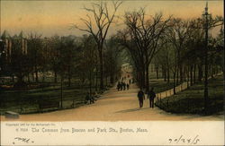 The Common from Beacon and Park Streets Boston, MA Postcard Postcard Postcard