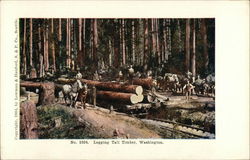 Logging Tall Timber Postcard