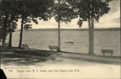 Looking East from Cayuga Lake Park New York Postcard Postcard Postcard