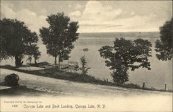 Cayuga Lake and Boat Landing New York Postcard Postcard Postcard