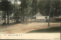 Cayuga Lake Park New York Postcard Postcard Postcard