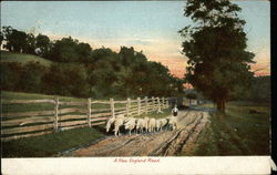 A New England Road Postcard