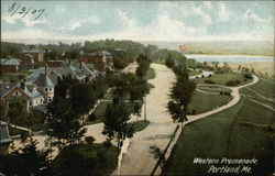 Western Promenade Postcard