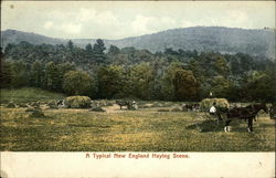 A Typical New England Haying Scene Farming Postcard Postcard Postcard