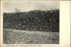 Floral Fence Surrounding Jamestown Exposition 1907 Jamestown Exposition Postcard Postcard Postcard