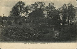 Scene in Highland Park Rochester, NY Postcard Postcard Postcard