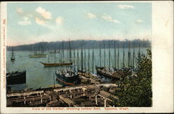 View of the Harbor, showing Lumber Fleet Postcard