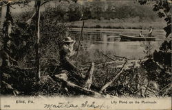 Lily Pond on the Peninsula Erie, PA Postcard Postcard Postcard