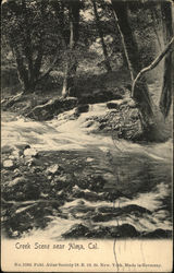 Creek Scene, Alma Los Gatos, CA Postcard Postcard Postcard