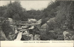 Upper Falls of the Ammonoosuc Postcard