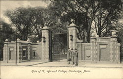 Harvard College Postcard