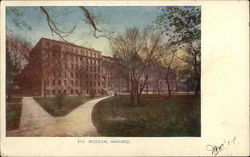 Museum, Harvard Cambridge, MA Postcard Postcard Postcard