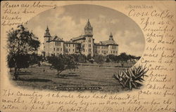 University of Texas Postcard