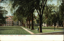 Yale Campus New Haven, CT Postcard Postcard Postcard