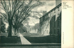 Yale Campus Postcard