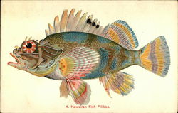 Hawaiian Fish, Pilikoa Postcard