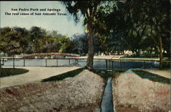 San Pedro Park and Springs San Antonio, TX Postcard Postcard Postcard